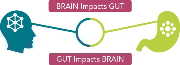 how brain impacts gut chart
