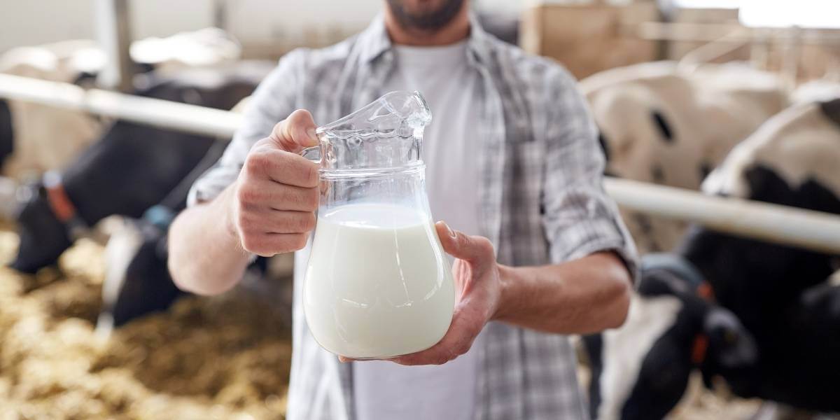 is this statement about nutrition false? is full fat milk healthier than low fat milk?