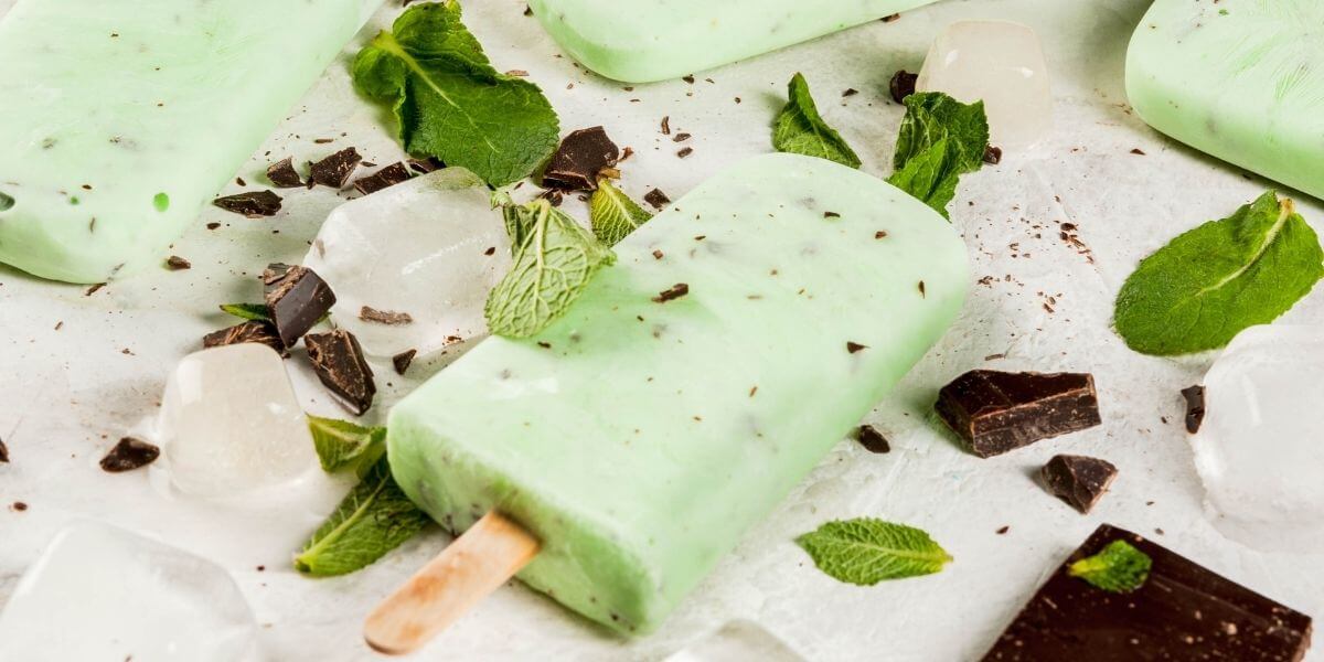 mint chocolate popsicles